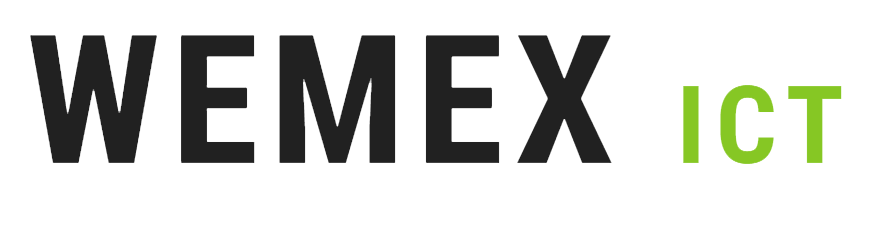 Wemex ICT logo